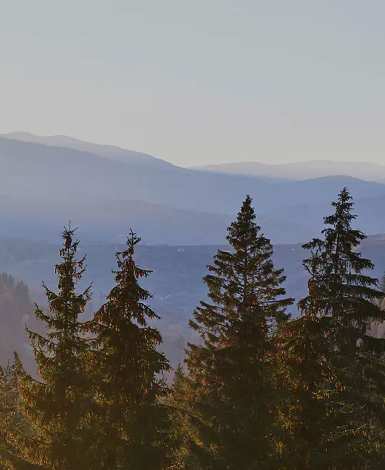 Kožna ploča od melamina